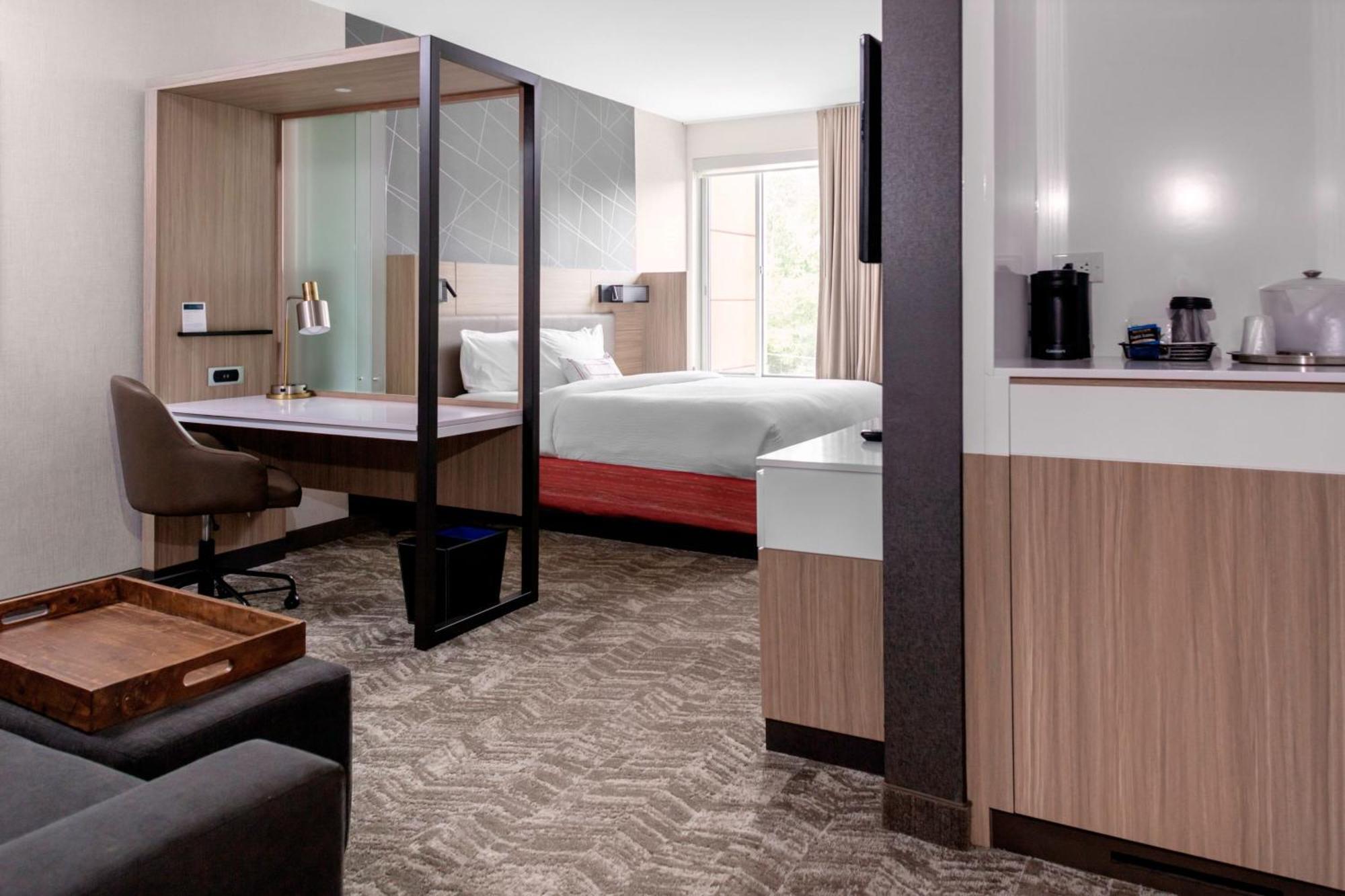 Springhill Suites By Marriott Suwanee Johns Creek Kültér fotó
